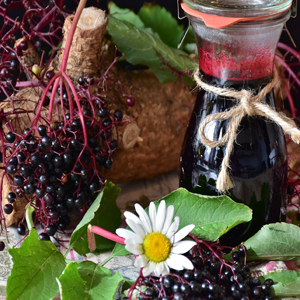 Buy Elderberry Extract for cold and flu