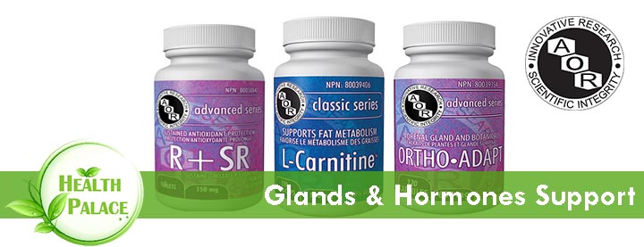 aor-glands-hormones-banner.jpg