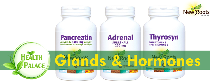 New Roots Glands and Hormones New Roots Glands and Hormones